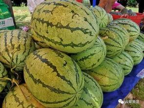 开启今日份吃瓜,揭秘娱乐圈最新热点事件