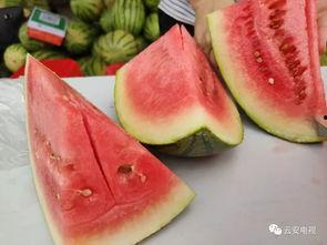 开启今日份吃瓜,揭秘娱乐圈最新热点事件