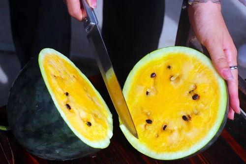 今日份摘瓜完成情况,收获满满，喜悦无限