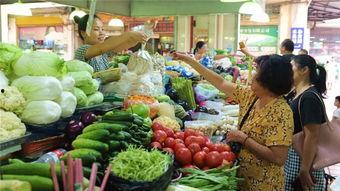 海口瓜菜价格今日价