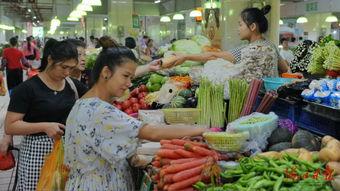 海口瓜菜价格今日价