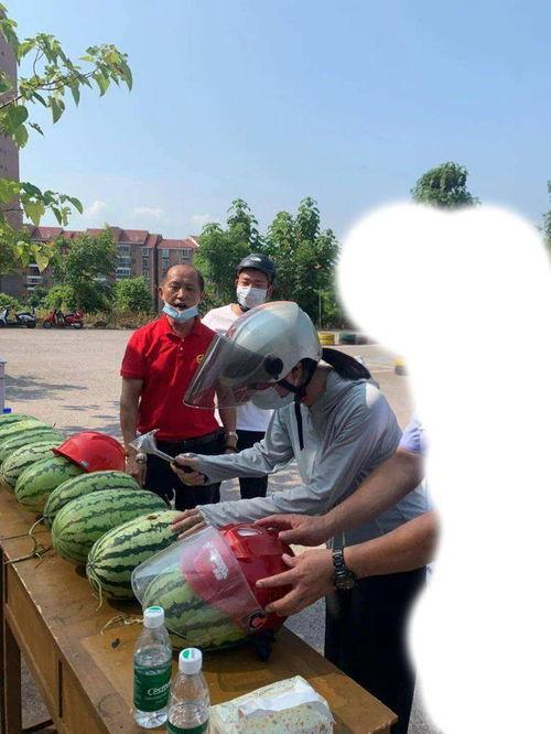 南宁今日吃瓜事件最新,一场网络热议背后的真相揭晓