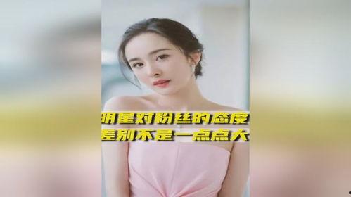 明星网红的差距有多大