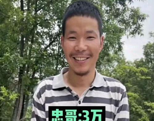 河北明星网红捐助事件始末,爱心传递与舆论风波的反思