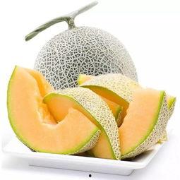 哈密瓜批发市场今日价格,价格波动解析与市场动态一览”