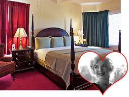 明星网红北京酒店是谁