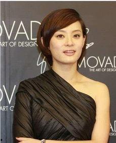 明星网红为什么都去冰岛,明星网红竞相打卡的极地诱惑