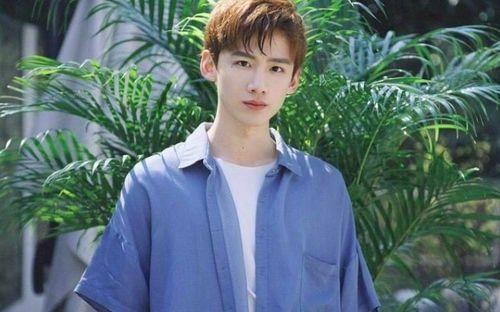 明星网红经纪人大娇,揭秘明星网红经纪人的幕后传奇