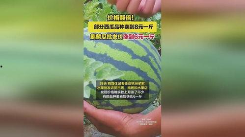 麒麟瓜今日报价