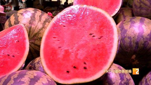 麒麟瓜今日报价