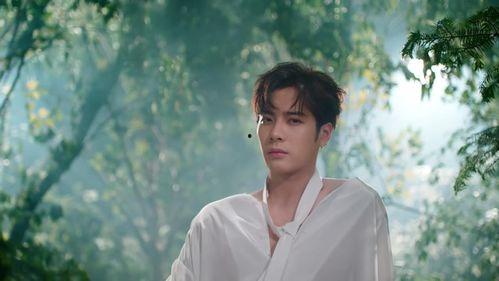 小个子男明星网红,逆袭之路，魅力无限