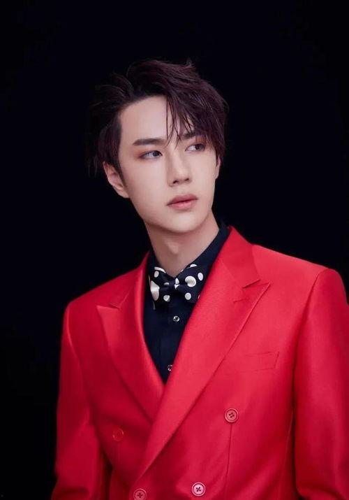 明星网红同框全部人,明星网红同框，演绎跨界人生精彩瞬间