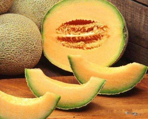 哈密瓜今日收购单价