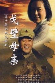 电视剧戈壁母亲,坚韧与爱的史诗
