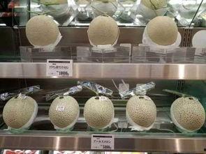 网纹蜜瓜今日行情,价格波动与市场动态一览