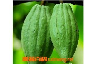 今日乳瓜价格,市场行情一览