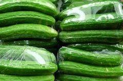 今日乳瓜价格,市场行情一览