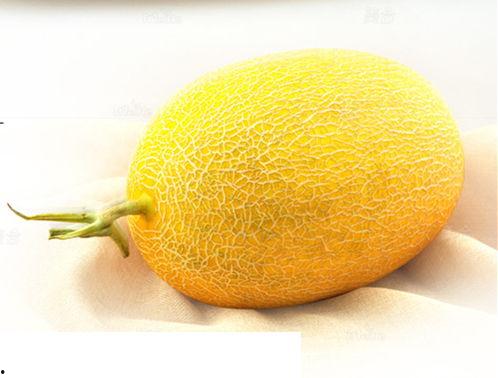 武汉哈密瓜价格今日价,价格行情一览