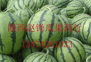 武汉哈密瓜价格今日价,价格行情一览