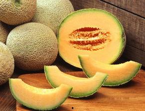 武汉哈密瓜价格今日价,价格行情一览