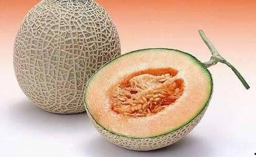 今日三亚网纹哈密瓜图片,甜蜜诱惑，视觉盛宴”