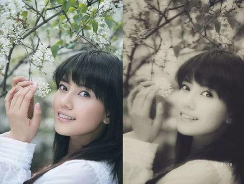 我们的明星网红是谁,魅力四射，人气爆棚！