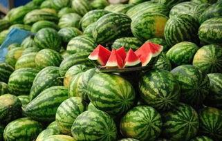 领头杨麒麟瓜今日价格,价格行情一览