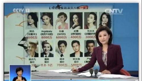 看中国明星网红的软件,看中国明星网红软件深度解析