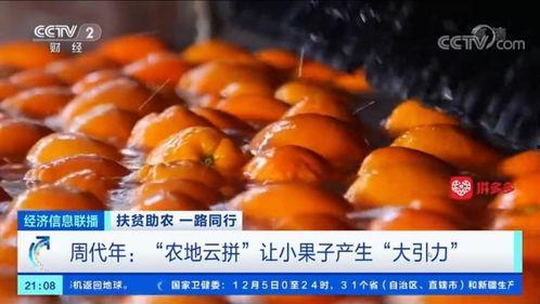 枝江今日梨瓜价格,价格行情一览”