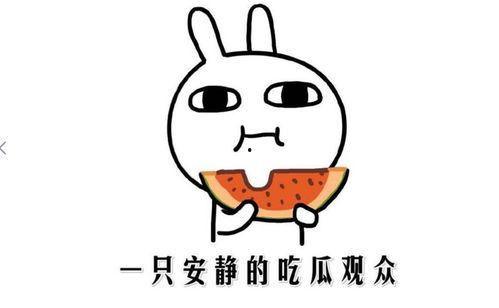 今日吃瓜事件新闻,娱乐圈最新吃瓜事件揭秘，真相大白引热议