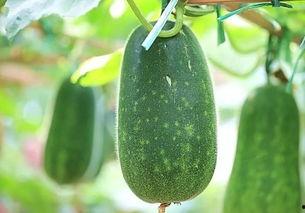 今日必吃瓜,揭秘娱乐圈最新热点事件