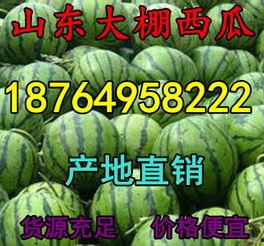 云南大棚瓜今日价格,丰产期迎来丰收，市场行情稳中向好