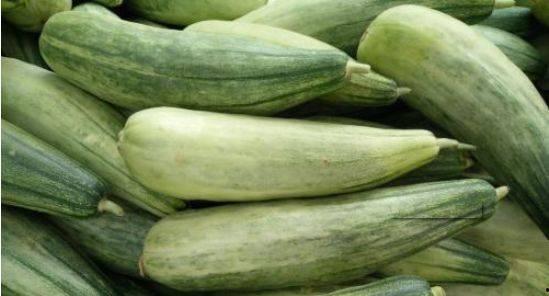 谭金宏蜜瓜价格今日行情