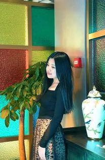 石家庄明星网红有哪些