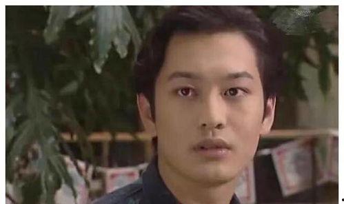 石家庄明星网红有哪些