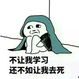 今日份摘瓜快乐图片表情包,表情包带你笑翻天