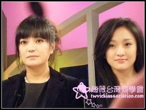 亲爱明星网红小说阅读下载