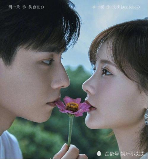 亲爱明星网红小说阅读下载