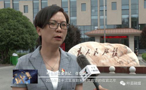 雷平镇的明星网红,揭秘明星网红背后的故事