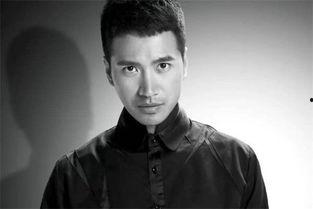 雷平镇的明星网红,揭秘明星网红背后的故事