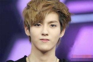 大嘴明星网红有哪些,揭秘网络红人的魅力与争议