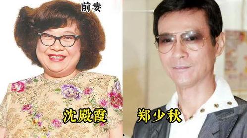 明星网红职业对比图女性,女性职业发展之路的对比解析