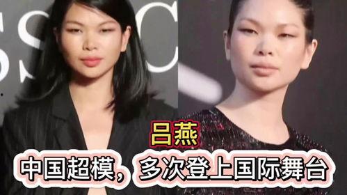 明星网红职业对比图女性,女性职业发展之路的对比解析