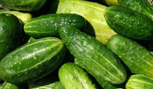 今日摘瓜什么价钱最好吃,揭秘最佳口感与价格的最佳搭配