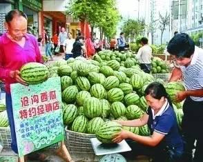 今日摘瓜什么价钱最好吃,揭秘最佳口感与价格的最佳搭配