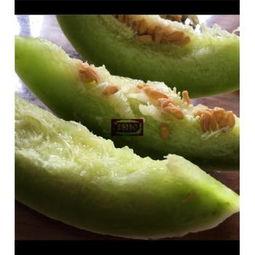 玉姑二瓜今日价格,价格行情一览”