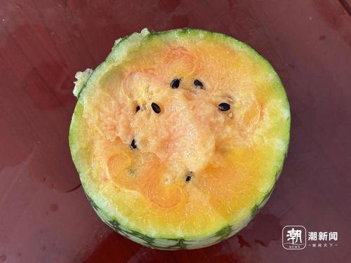 丽水今日吃瓜事件视频曝光,视频曝光引发网友热议