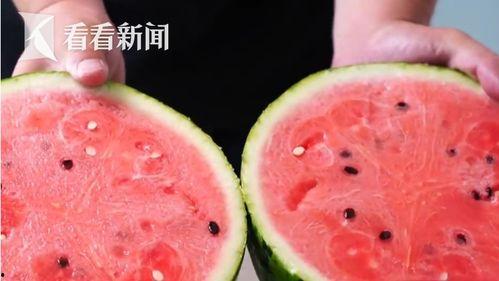 今日吊瓜多少钱一斤价格,行情波动，一斤吊瓜多少钱？