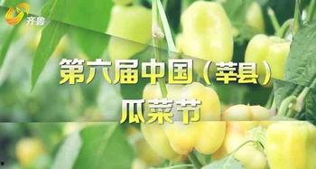 莘县瓜菜节今日开始