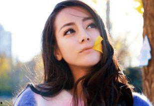 陕北的明星网红有哪些